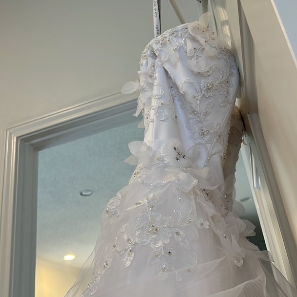 Never Worn Wedding Dress - Picture 7 of 8